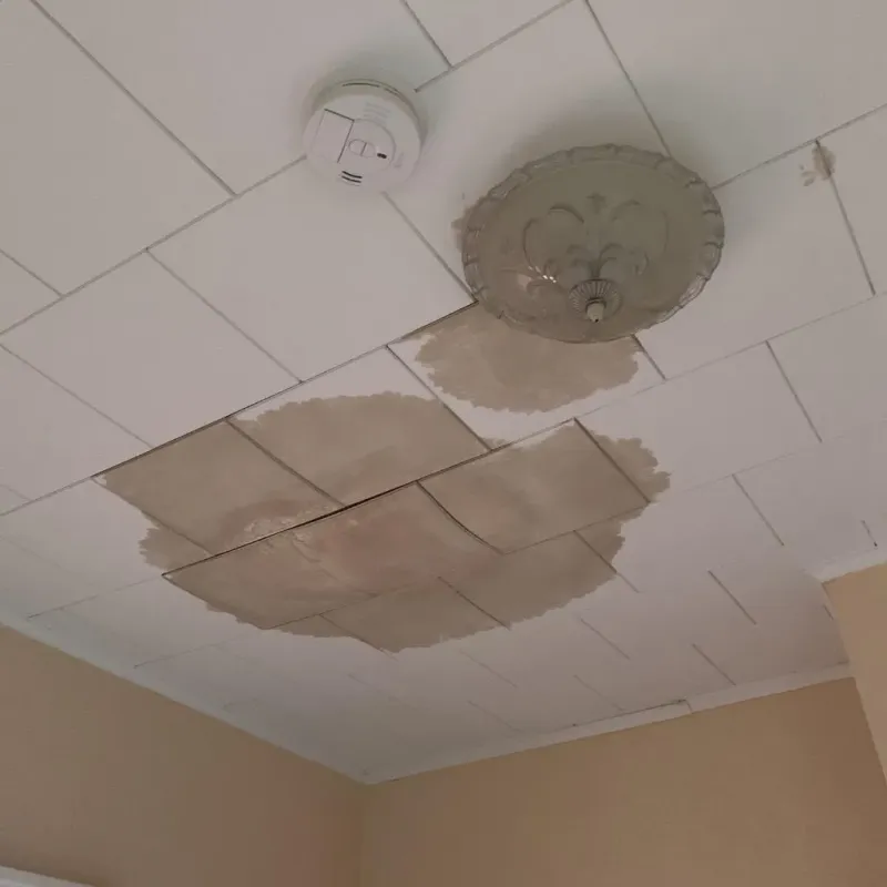 Ceiling Water Damage Repair in Marvell, AR