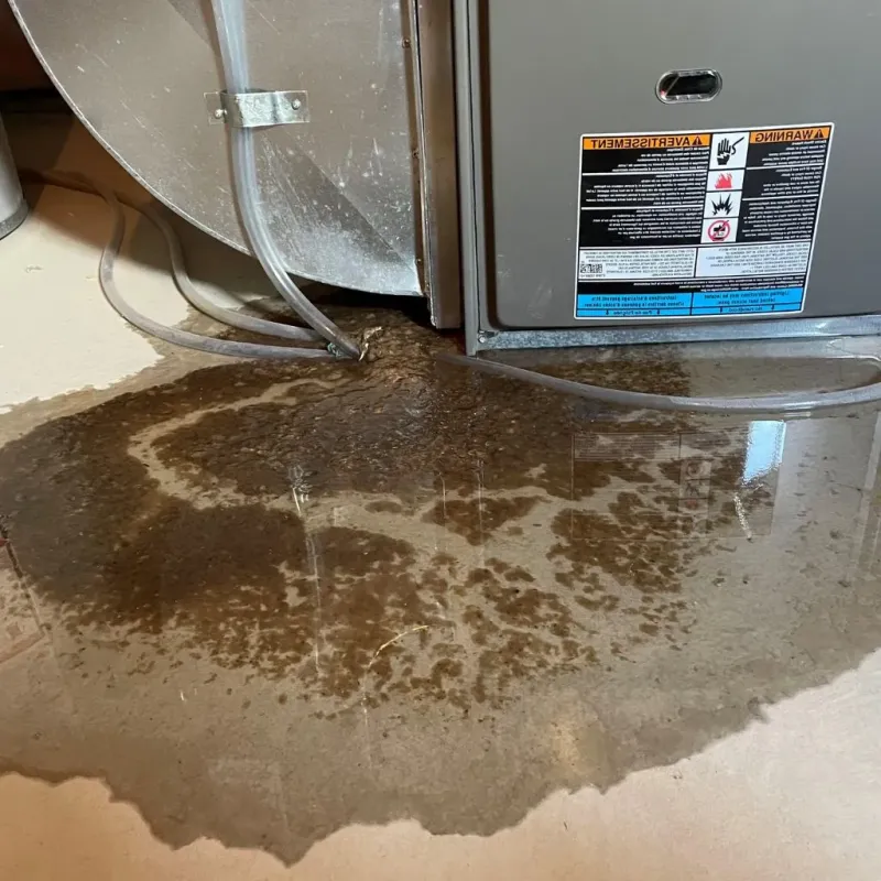 Pipe Burst and Leak Restoration in Marvell, AR