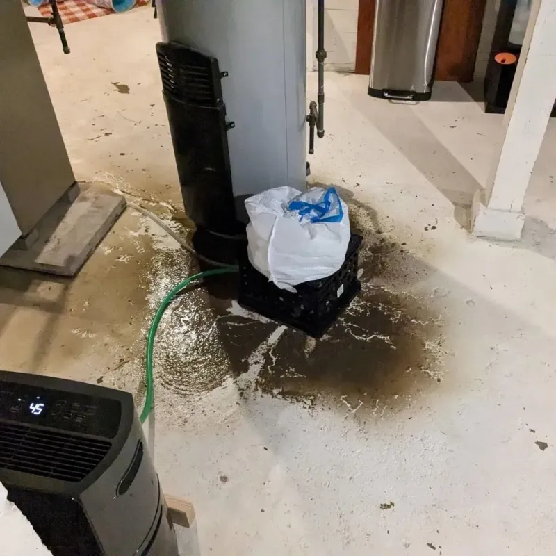 Sewage Backup Cleanup Service in Marvell, AR